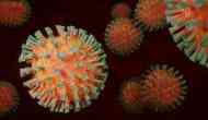 Coronavirus New Variant: Second Omicron case in Delhi as Zimbabwe returnee tests positive